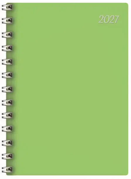 Chef-Timer mit Spirale grün