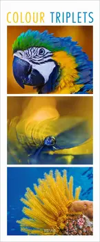 Colour Triplets