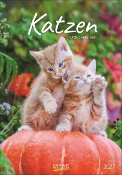 Katzenkalender