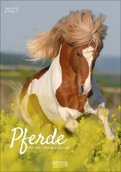 Pferdekalender